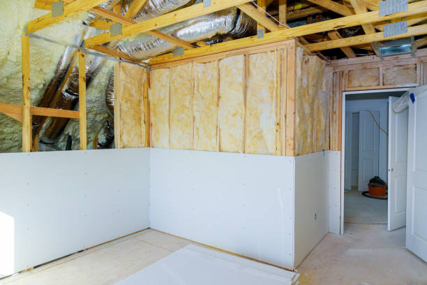 Best Eco-Friendly Insulation in Alton, TX