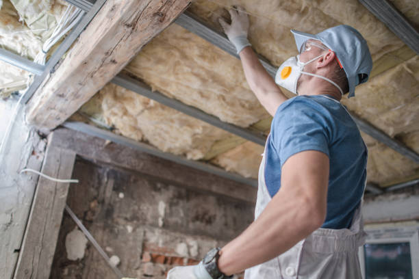 Best Blown-in Insulation in Alton, TX