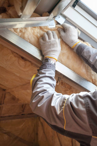 Best Residential Insulation in Alton, TX