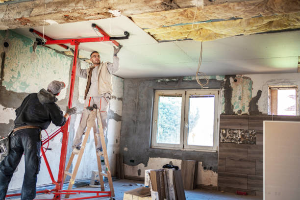 Best Cellulose Insulation in Alton, TX