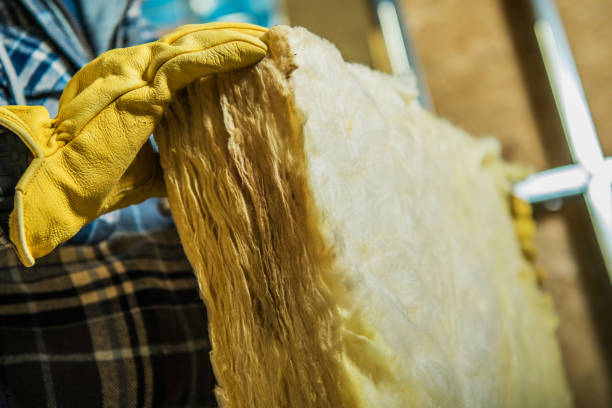 Best Spray Foam Insulation in Alton, TX