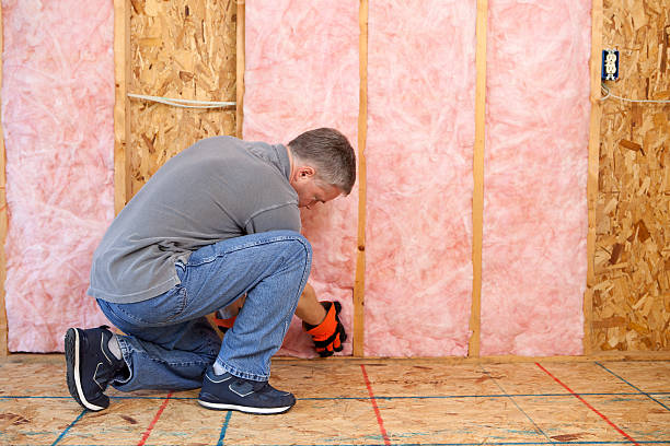 Best Specialized Insulation Services in Alton, TX