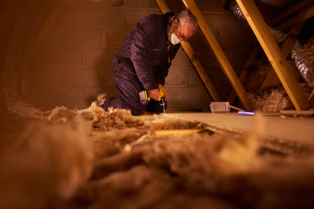 Types of Insulation We Offer in Alton, TX